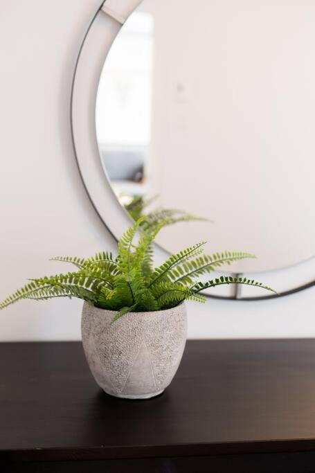 Sleek Condo In The Heart Of Little Italy By Den Stays Montreal Ngoại thất bức ảnh